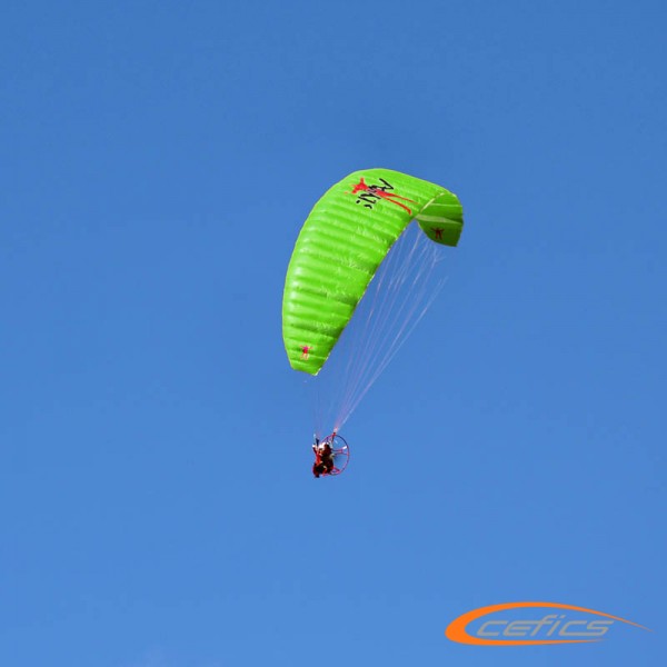 RC-Skyman CrossAlps 2.8 grün